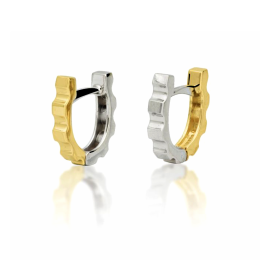 Brinco Ouro 18K