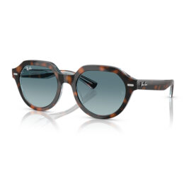 Óculos Ray Ban GINA 4399 14133M