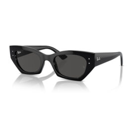 Óculos Ray Ban ZENA 4430 667787